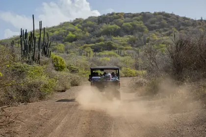 dln excursions bandabou twee